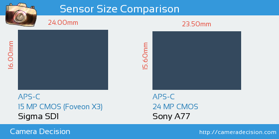 Sigma SD1 vs Sony A77 Sensor Size Comparison