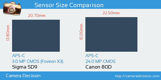 Sigma SD9 vs Canon 80D Sensor Size Comparison