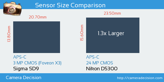 Sigma SD9 vs Nikon D5300 Sensor Size Comparison