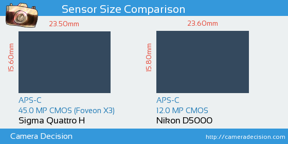 Sigma Quattro H vs Nikon D5000 Sensor Size Comparison
