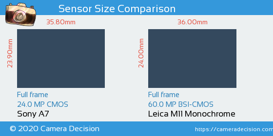 Sony A7 vs Leica M11 Monochrom Sensor Size Comparison