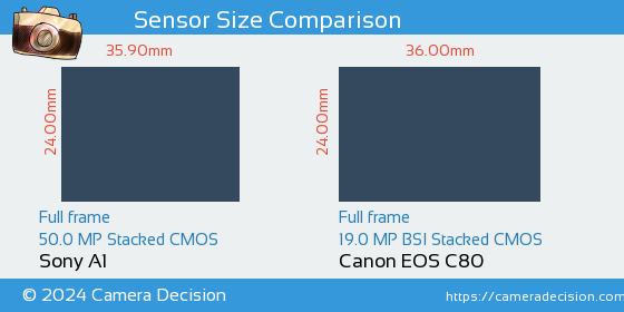 Sony A1 vs Canon EOS C80 Sensor Size Comparison