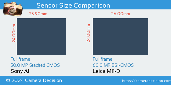 Sony A1 vs Leica M11-D Sensor Size Comparison