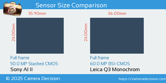 Sony A1 II vs Leica Q3 Monochrom Sensor Size Comparison
