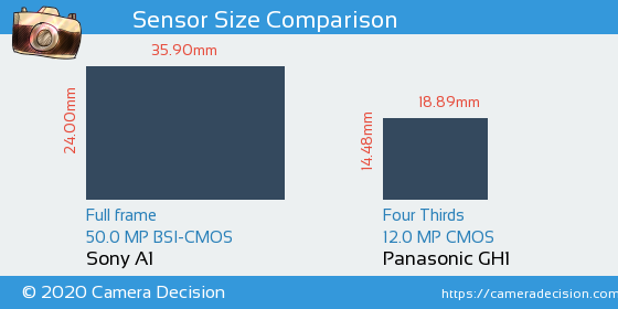Sony A1 vs Panasonic GH1 Sensor Size Comparison