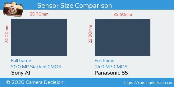 Sony A1 vs Panasonic S5 Sensor Size Comparison