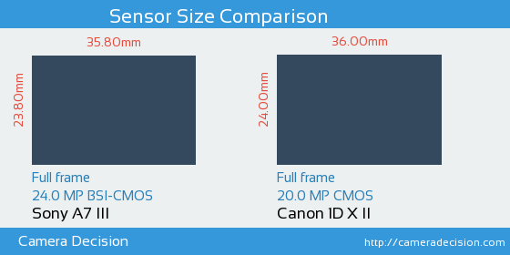 Sony A7 III vs Canon 1D X II Sensor Size Comparison