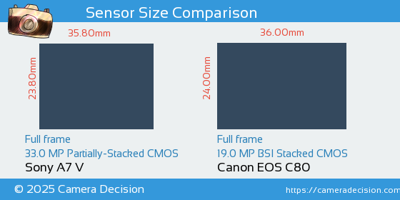 Sony A7 V vs Canon EOS C80 Sensor Size Comparison