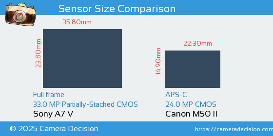 Sony A7 V vs Canon M50 II Sensor Size Comparison