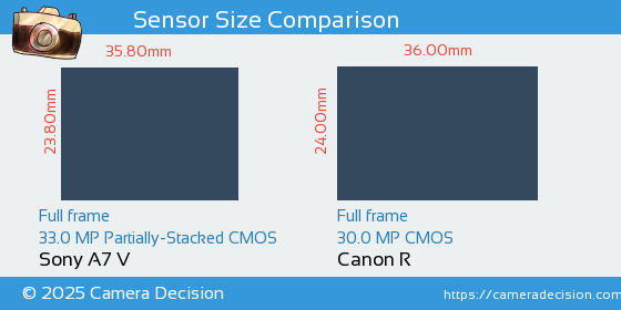 Sony A7 V vs Canon R Sensor Size Comparison