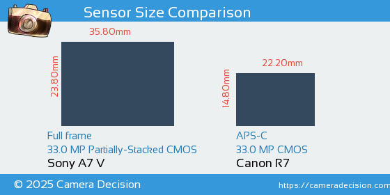 Sony A7 V vs Canon R7 Sensor Size Comparison