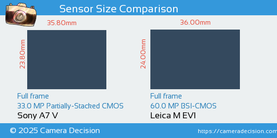 Sony A7 V vs Leica M EV1 Sensor Size Comparison