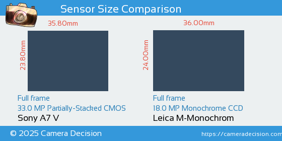 Sony A7 V vs Leica M-Monochrom Sensor Size Comparison