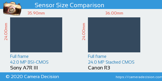 Sony A7R III vs Canon R3 Sensor Size Comparison