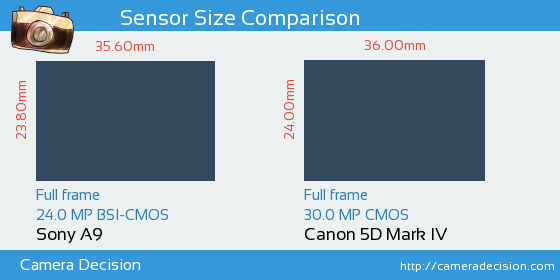 Sony A9 vs Canon 5D MIV Sensor Size Comparison
