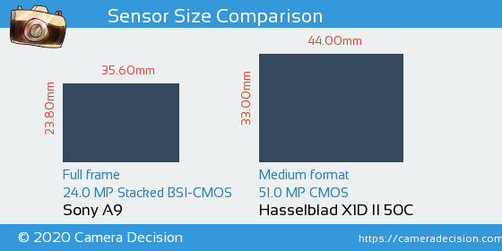 Sony A9 vs Hasselblad X1D II Sensor Size Comparison