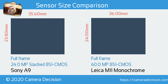 Sony A9 vs Leica M11 Monochrom Sensor Size Comparison