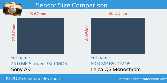 Sony A9 vs Leica Q3 Monochrom Sensor Size Comparison