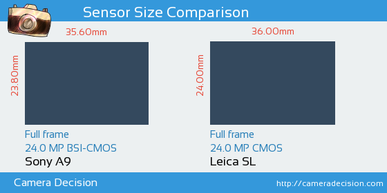 Sony A9 vs Leica SL Sensor Size Comparison