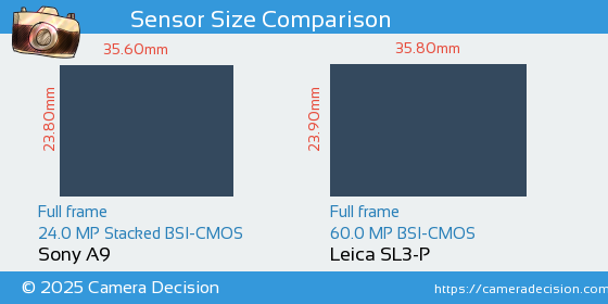 Sony A9 vs Leica SL3-P Sensor Size Comparison