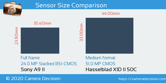 Sony A9 II vs Hasselblad X1D II Sensor Size Comparison