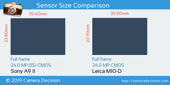 Sony A9 II vs Leica M10-D Sensor Size Comparison