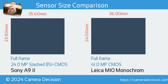 Sony A9 II vs Leica M10 Monochrom Sensor Size Comparison
