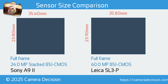 Sony A9 II vs Leica SL3-P Sensor Size Comparison