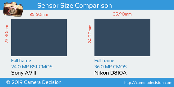 Sony A9 II vs Nikon D810A Sensor Size Comparison