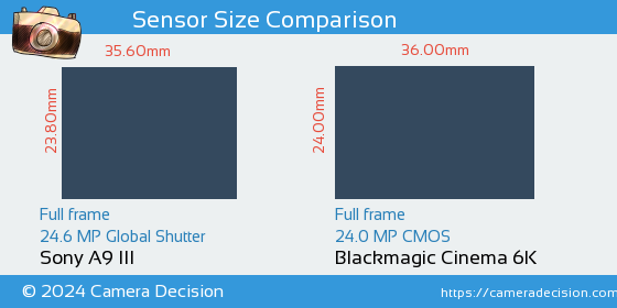 Sony A9 III vs Blackmagic Cinema 6K Sensor Size Comparison