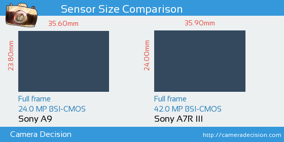 Sony A9 vs Sony A7R III Sensor Size Comparison