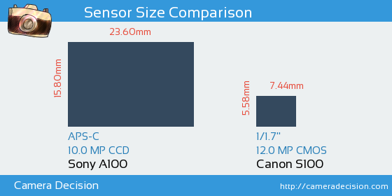 Sony A100 vs Canon S100 Sensor Size Comparison