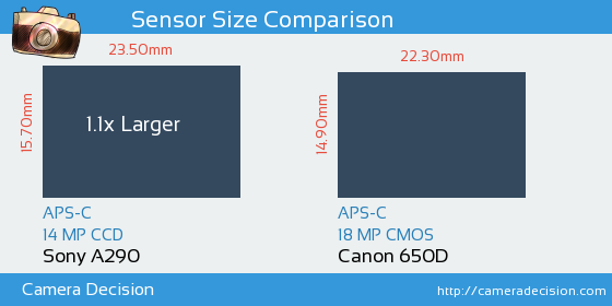 Sony A290 vs Canon 650D Sensor Size Comparison
