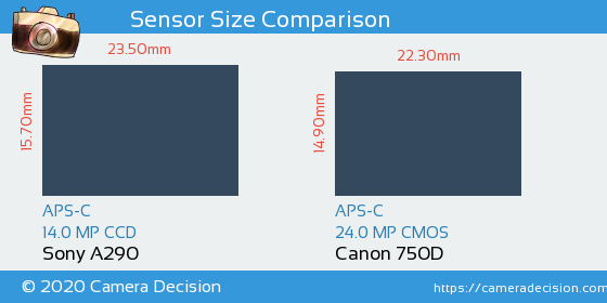 Sony A290 vs Canon 750D Sensor Size Comparison