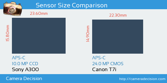 Sony A300 vs Canon T7i Sensor Size Comparison