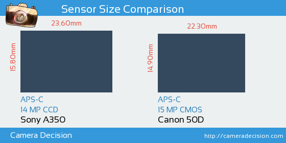 Sony A350 vs Canon 50D Sensor Size Comparison