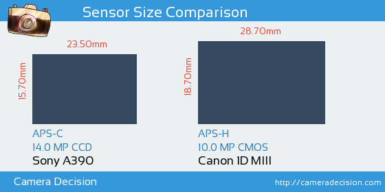 Sony A390 vs Canon 1D MIII Sensor Size Comparison