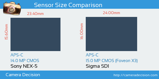 Sony NEX-5 vs Sigma SD1 Sensor Size Comparison