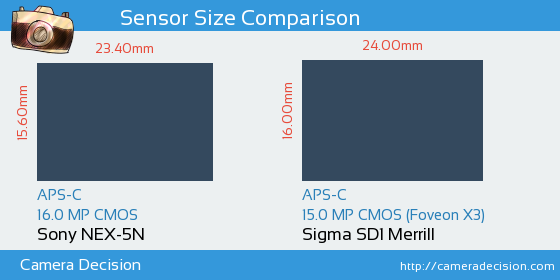 Sony NEX-5N vs Sigma SD1 Merrill Sensor Size Comparison