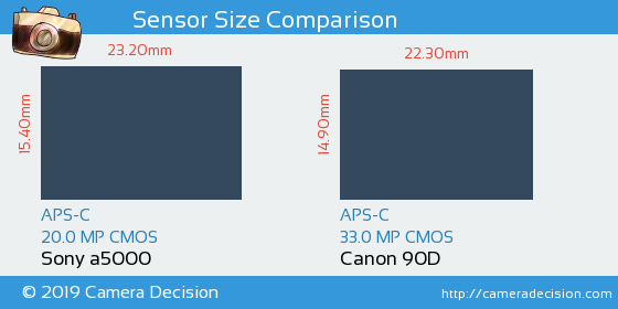 Sony a5000 vs Canon 90D Sensor Size Comparison