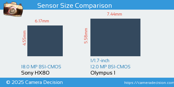 Sony HX80 vs Olympus 1 Sensor Size Comparison