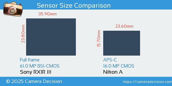 Sony RX1R III vs Nikon A Sensor Size Comparison