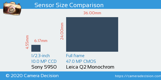 Sony S950 vs Leica Q2 Monochrom Sensor Size Comparison