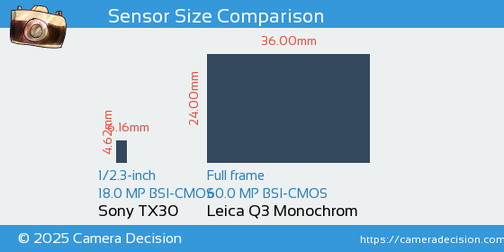 Sony TX30 vs Leica Q3 Monochrom Sensor Size Comparison