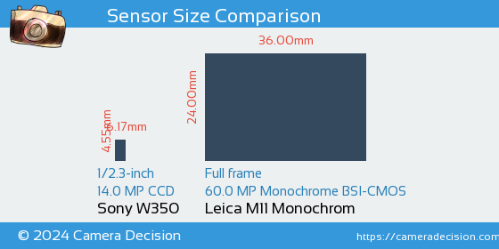 Sony W350 vs Leica M11 Monochrom Sensor Size Comparison