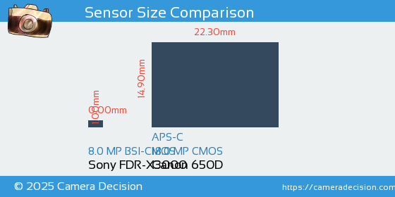 Sony FDR-X3000 vs Canon 650D Sensor Size Comparison