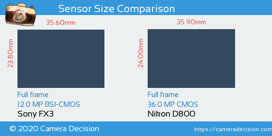 Sony FX3 vs Nikon D800 Sensor Size Comparison
