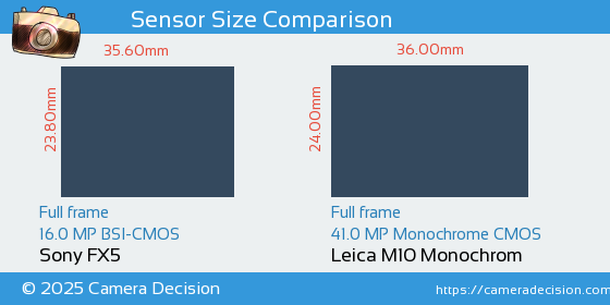 Sony FX5 vs Leica M10 Monochrom Sensor Size Comparison