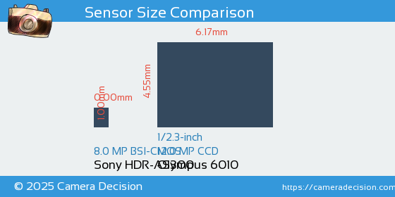 Sony HDR-AS300 vs Olympus 6010 Sensor Size Comparison
