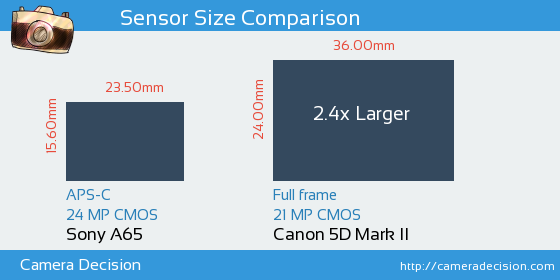 Sony A65 vs Canon 5D MII Sensor Size Comparison